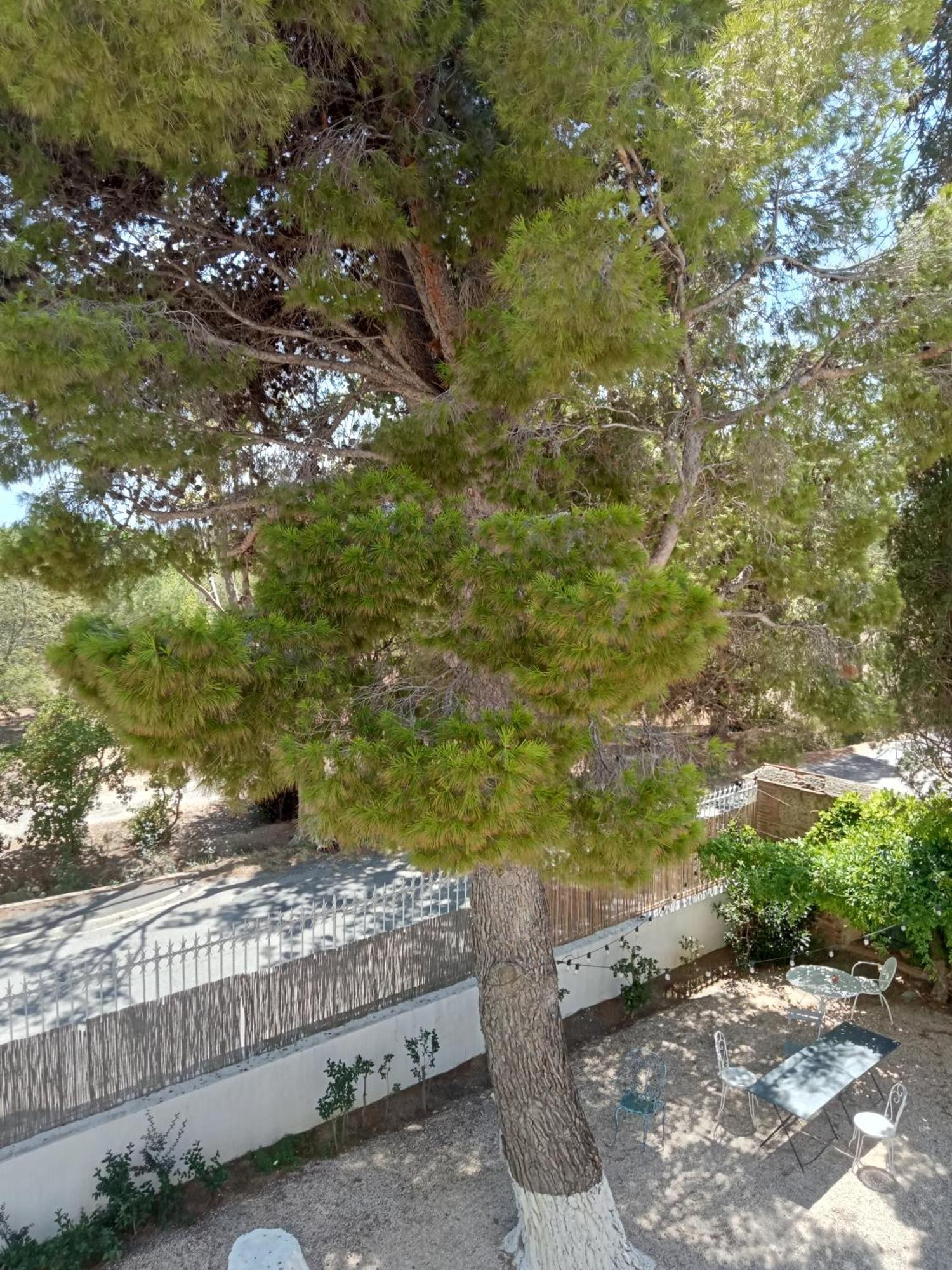 Le Mas Palegry Chambres D'Hotes Perpignan Exterior photo